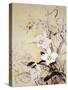 Spring Blossom-Haruyo Morita-Stretched Canvas