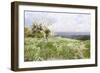 Spring Blossom-Clayton Adams-Framed Giclee Print