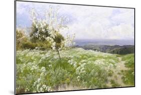 Spring Blossom-Clayton Adams-Mounted Giclee Print