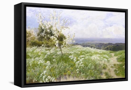 Spring Blossom-Clayton Adams-Framed Stretched Canvas