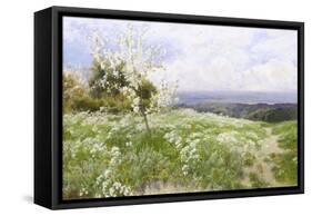 Spring Blossom-Clayton Adams-Framed Stretched Canvas