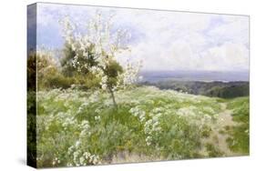 Spring Blossom-Clayton Adams-Stretched Canvas