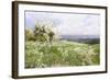 Spring Blossom-Clayton Adams-Framed Giclee Print