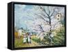 Spring Blossom-Henri Richet-Framed Stretched Canvas