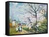 Spring Blossom-Henri Richet-Framed Stretched Canvas