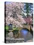 Spring Blossoms along Phelps Creek-Steve Terrill-Stretched Canvas