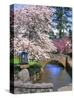 Spring Blossoms along Phelps Creek-Steve Terrill-Stretched Canvas