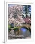 Spring Blossoms along Phelps Creek-Steve Terrill-Framed Photographic Print