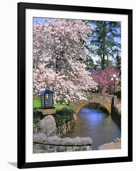 Spring Blossoms along Phelps Creek-Steve Terrill-Framed Photographic Print