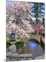 Spring Blossoms along Phelps Creek-Steve Terrill-Mounted Photographic Print