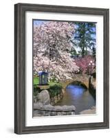 Spring Blossoms along Phelps Creek-Steve Terrill-Framed Photographic Print