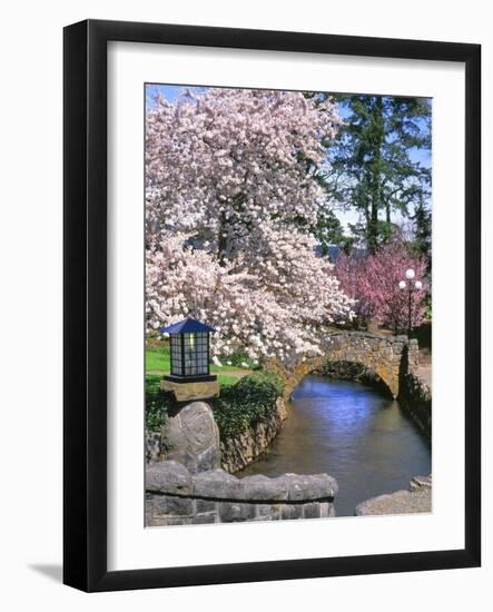 Spring Blossoms along Phelps Creek-Steve Terrill-Framed Photographic Print