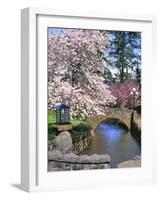 Spring Blossoms along Phelps Creek-Steve Terrill-Framed Photographic Print