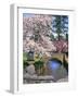 Spring Blossoms along Phelps Creek-Steve Terrill-Framed Photographic Print