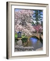 Spring Blossoms along Phelps Creek-Steve Terrill-Framed Photographic Print