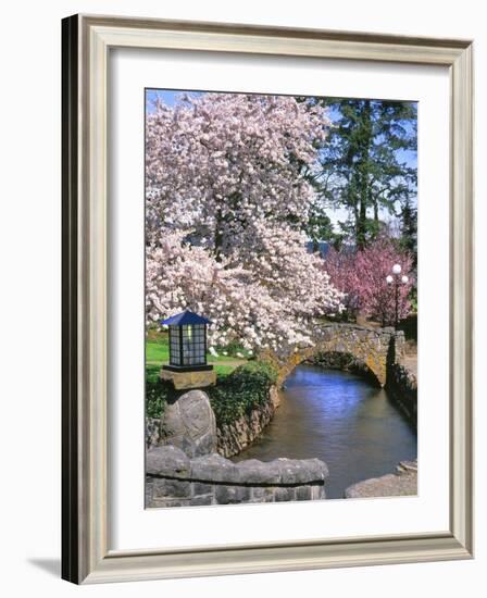 Spring Blossoms along Phelps Creek-Steve Terrill-Framed Photographic Print