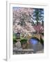 Spring Blossoms along Phelps Creek-Steve Terrill-Framed Photographic Print