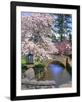 Spring Blossoms along Phelps Creek-Steve Terrill-Framed Photographic Print