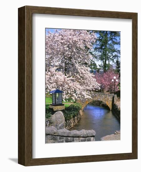 Spring Blossoms along Phelps Creek-Steve Terrill-Framed Photographic Print