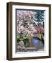 Spring Blossoms along Phelps Creek-Steve Terrill-Framed Photographic Print