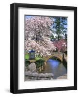 Spring Blossoms along Phelps Creek-Steve Terrill-Framed Photographic Print