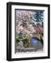 Spring Blossoms along Phelps Creek-Steve Terrill-Framed Photographic Print