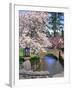 Spring Blossoms along Phelps Creek-Steve Terrill-Framed Photographic Print