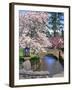 Spring Blossoms along Phelps Creek-Steve Terrill-Framed Photographic Print