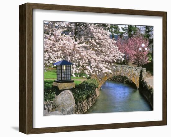 Spring Blossoms along Phelps Creek-Steve Terrill-Framed Photographic Print