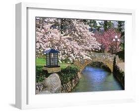 Spring Blossoms along Phelps Creek-Steve Terrill-Framed Photographic Print