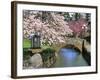 Spring Blossoms along Phelps Creek-Steve Terrill-Framed Photographic Print