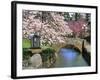 Spring Blossoms along Phelps Creek-Steve Terrill-Framed Photographic Print