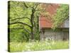 Spring Blossoms and Alpine House, Spodnja Trenta, Gorenjska, Slovenia-Walter Bibikow-Stretched Canvas