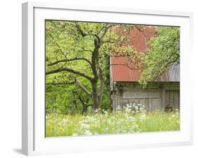 Spring Blossoms and Alpine House, Spodnja Trenta, Gorenjska, Slovenia-Walter Bibikow-Framed Photographic Print