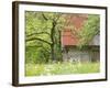 Spring Blossoms and Alpine House, Spodnja Trenta, Gorenjska, Slovenia-Walter Bibikow-Framed Photographic Print
