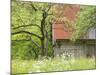Spring Blossoms and Alpine House, Spodnja Trenta, Gorenjska, Slovenia-Walter Bibikow-Mounted Photographic Print