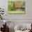 Spring Blossoms and Alpine House, Spodnja Trenta, Gorenjska, Slovenia-Walter Bibikow-Photographic Print displayed on a wall