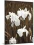 Spring Blossoms I-Boyce Watt-Mounted Giclee Print