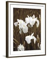 Spring Blossoms I-Boyce Watt-Framed Giclee Print