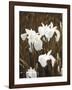 Spring Blossoms I-Boyce Watt-Framed Giclee Print