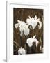 Spring Blossoms I-Boyce Watt-Framed Giclee Print