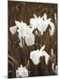 Spring Blossoms I-Boyce Watt-Mounted Giclee Print