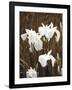 Spring Blossoms I-Boyce Watt-Framed Giclee Print