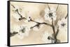 Spring Blossoms I-Chris Paschke-Framed Stretched Canvas