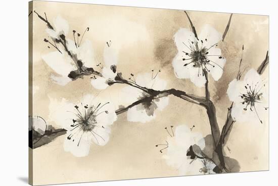 Spring Blossoms I-Chris Paschke-Stretched Canvas