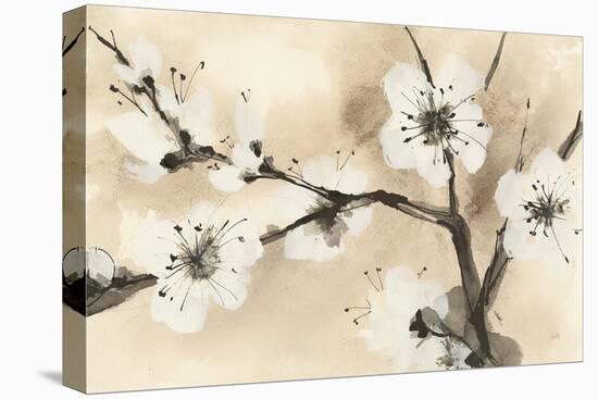 Spring Blossoms I-Chris Paschke-Stretched Canvas