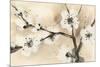 Spring Blossoms I-Chris Paschke-Mounted Art Print