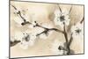 Spring Blossoms I-Chris Paschke-Mounted Premium Giclee Print