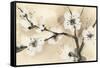 Spring Blossoms I-Chris Paschke-Framed Stretched Canvas