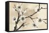 Spring Blossoms II-Chris Paschke-Framed Stretched Canvas